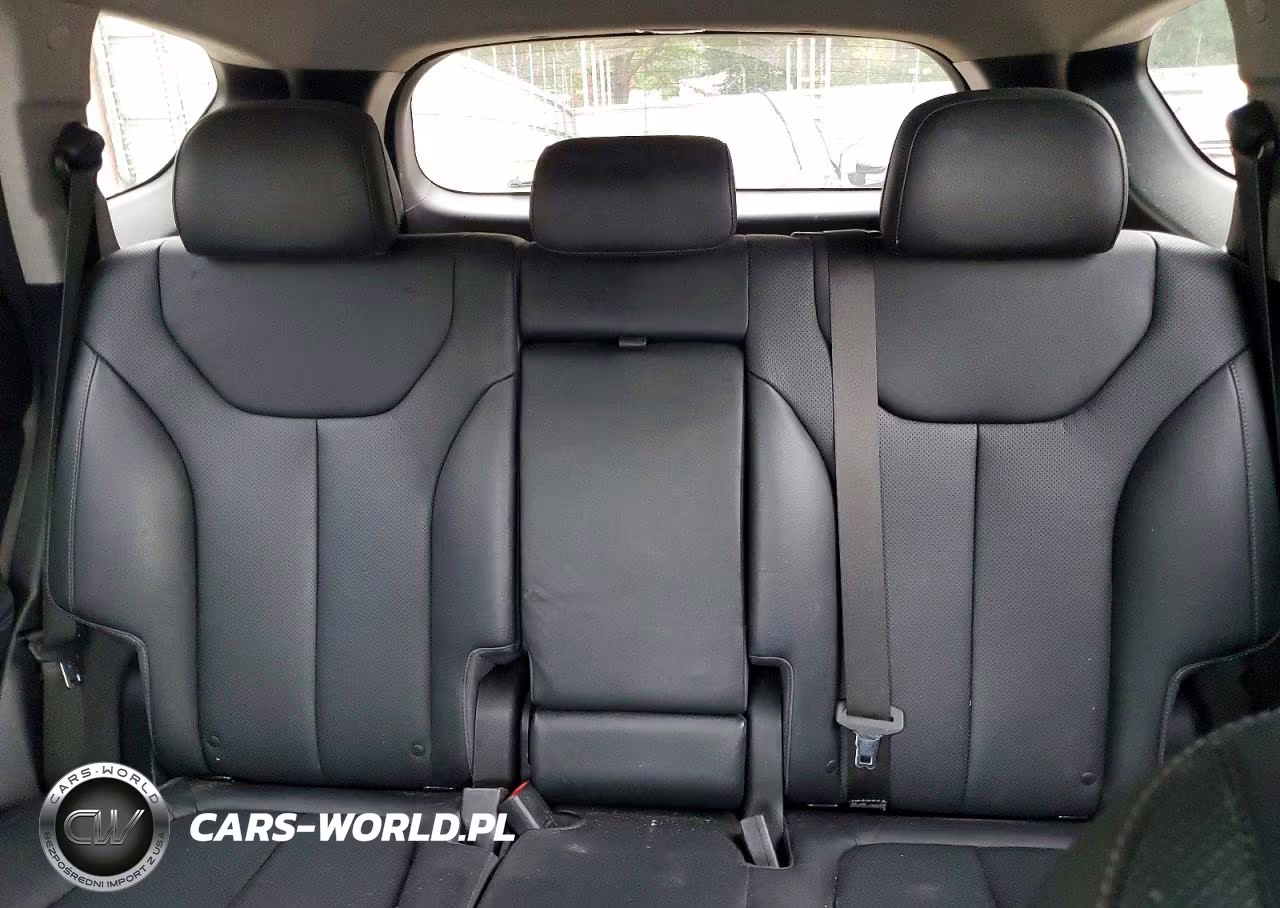 2019 Hyundai Santa Fe Limited 2.0T VIN:5NMS53AA7KH012247 - 10