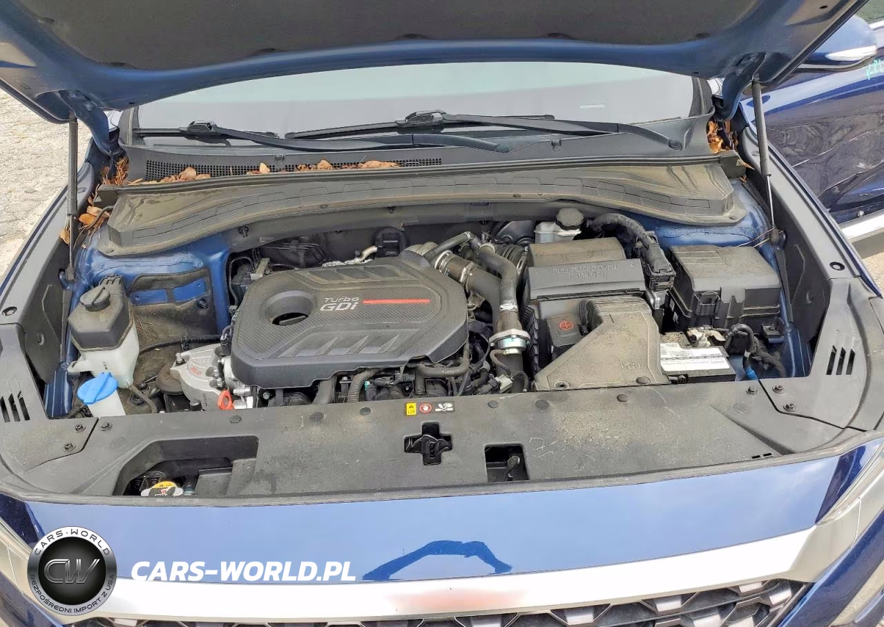 2019 Hyundai Santa Fe Limited 2.0T VIN:5NMS53AA7KH012247 - 12