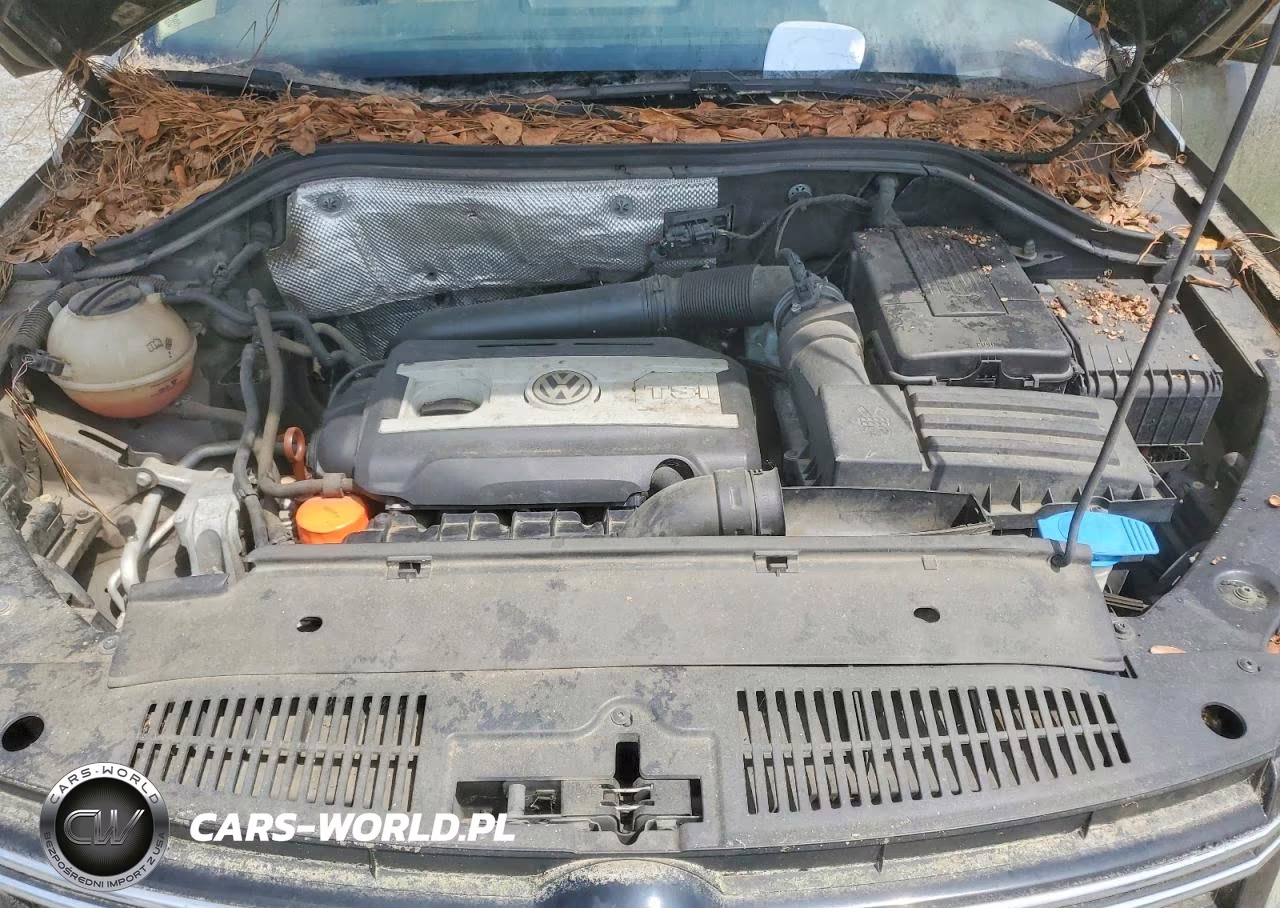 2012 Volkswagen Tiguan S VIN:WVGAV7AX0CW003956 - 12