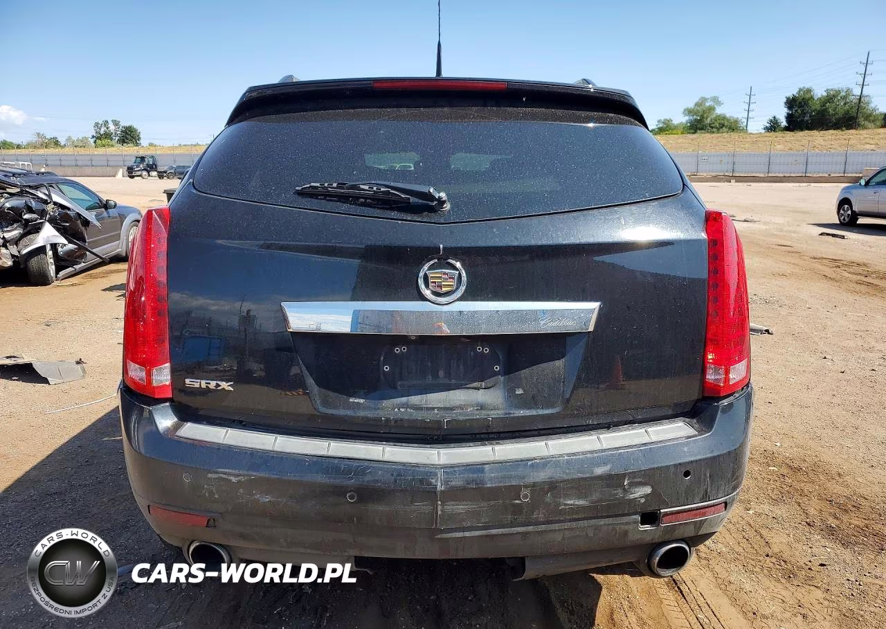 2010 Cadillac Srx Luxury Collection VIN:3GYFNAEY5AS638314 - 6