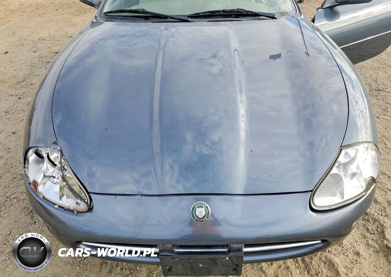 2000 Jaguar Xk8 VIN:SAJJA42C0YNA10921 - 11
