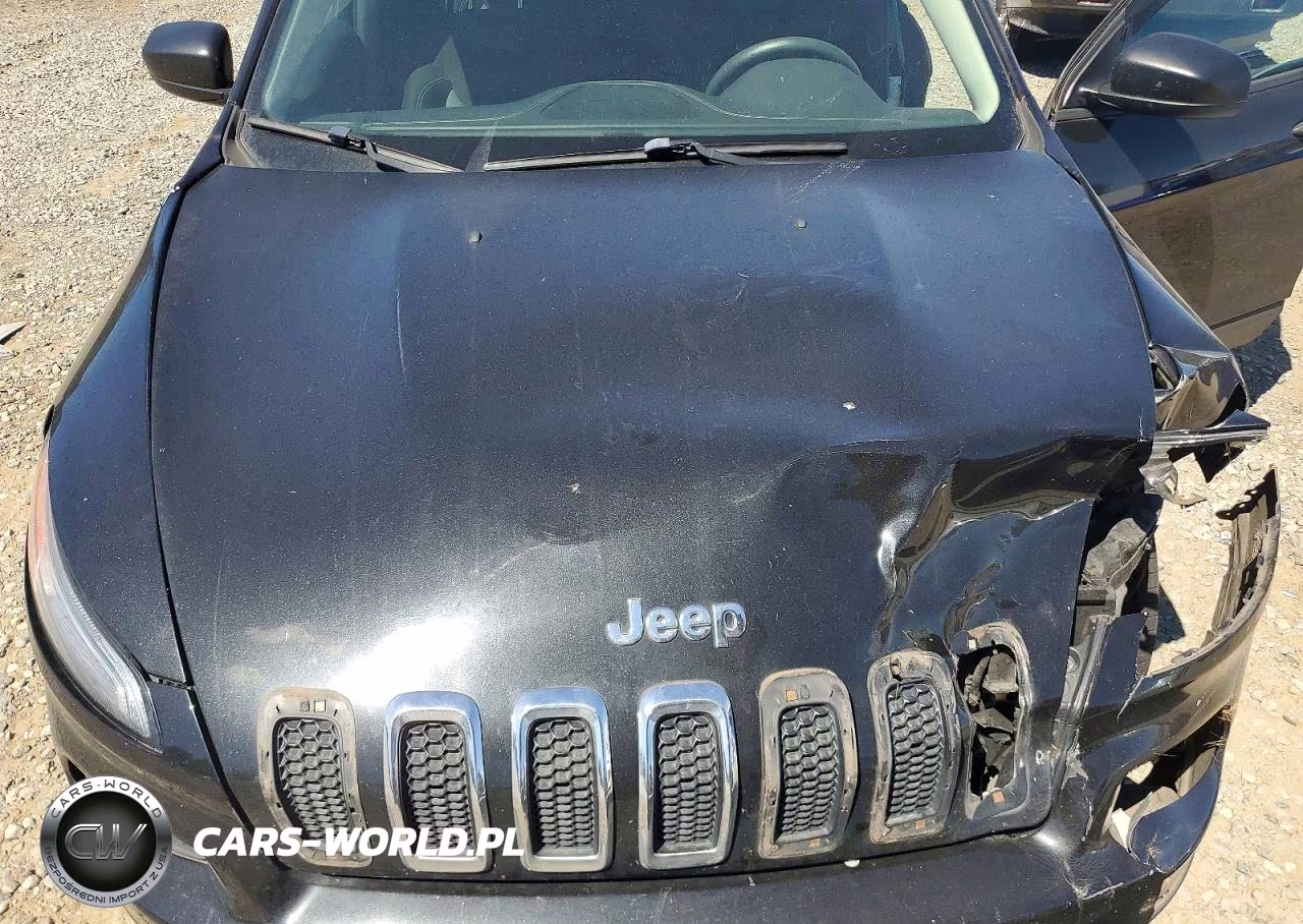 2014 Jeep Cherokee Sport VIN:1C4PJLAS4EW244882 - 12
