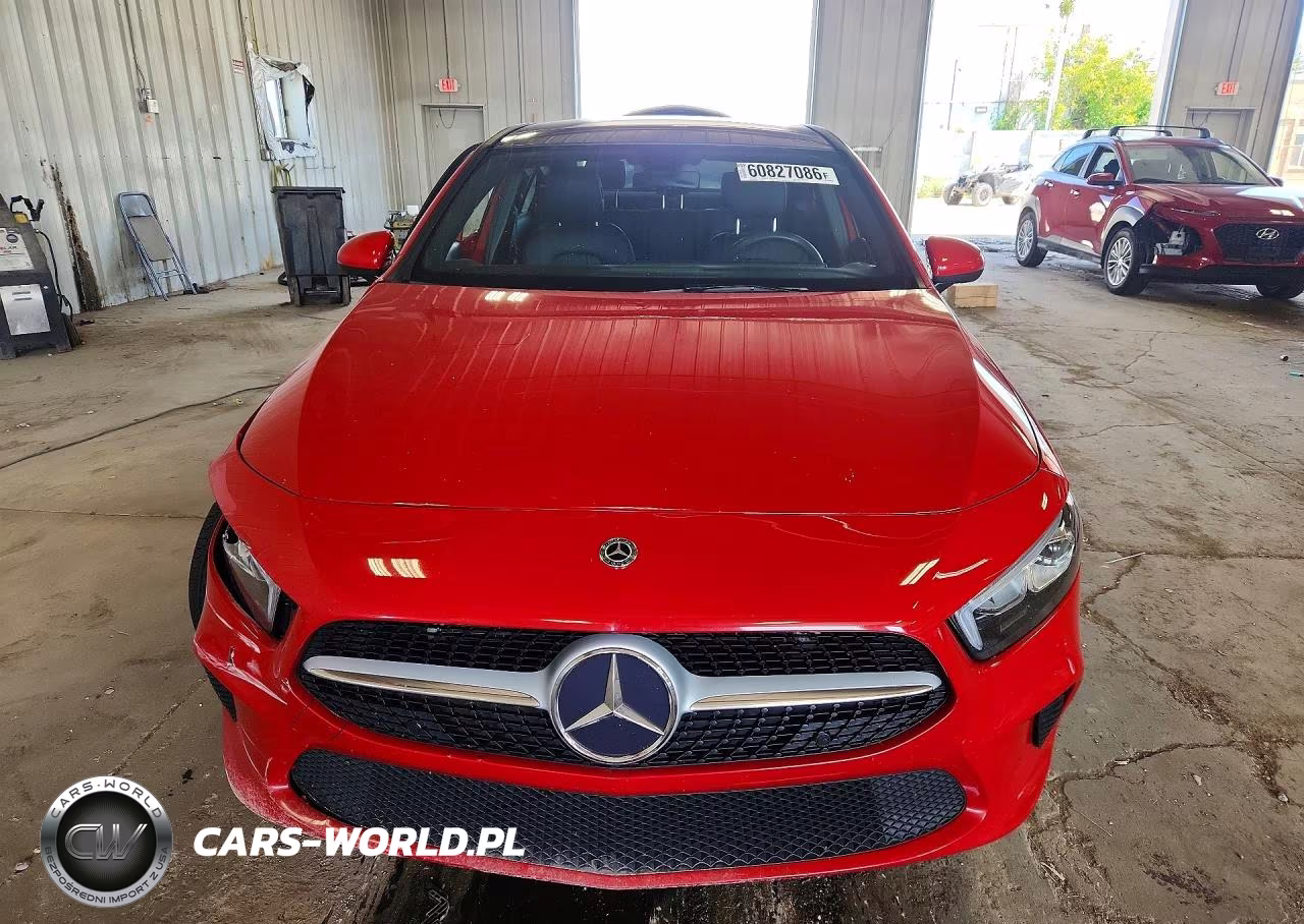 2019 Mercedes-Benz A 220 4Matic VIN:WDD3G4FB1KW034821 - 5