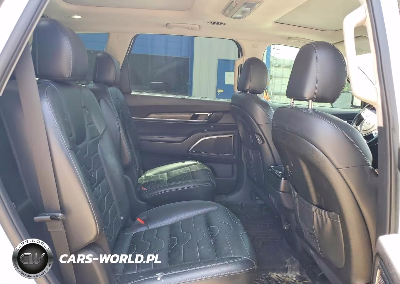 2020 Kia Telluride Sx VIN:5XYP5DHC8LG085495 - 11