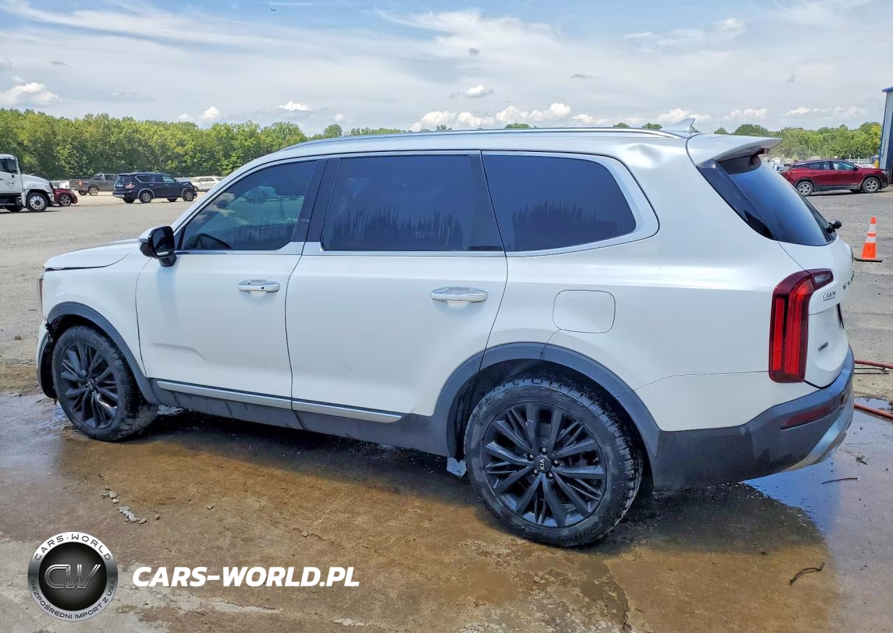 2020 Kia Telluride Sx VIN:5XYP5DHC8LG085495 - 2