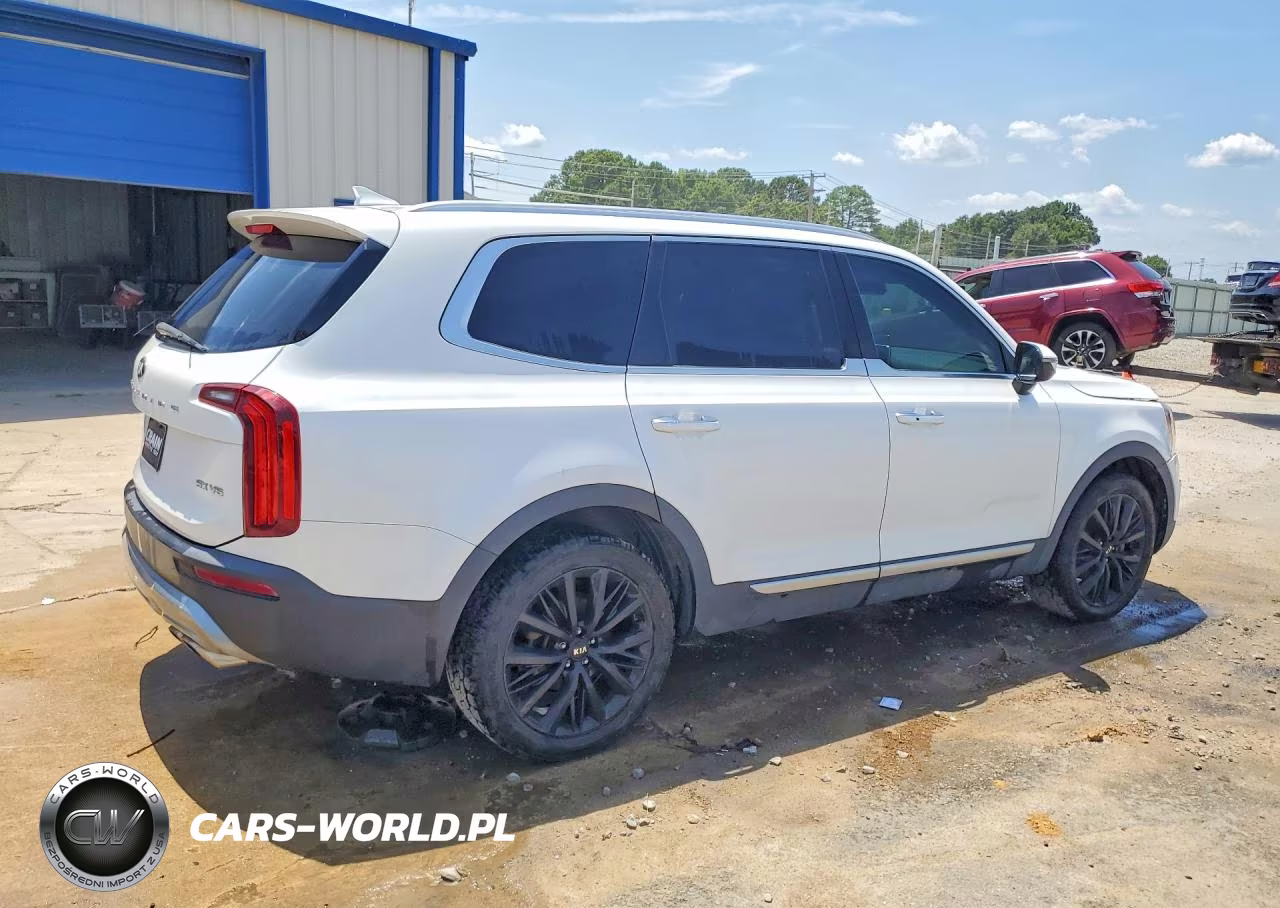 2020 Kia Telluride Sx VIN:5XYP5DHC8LG085495 - 3