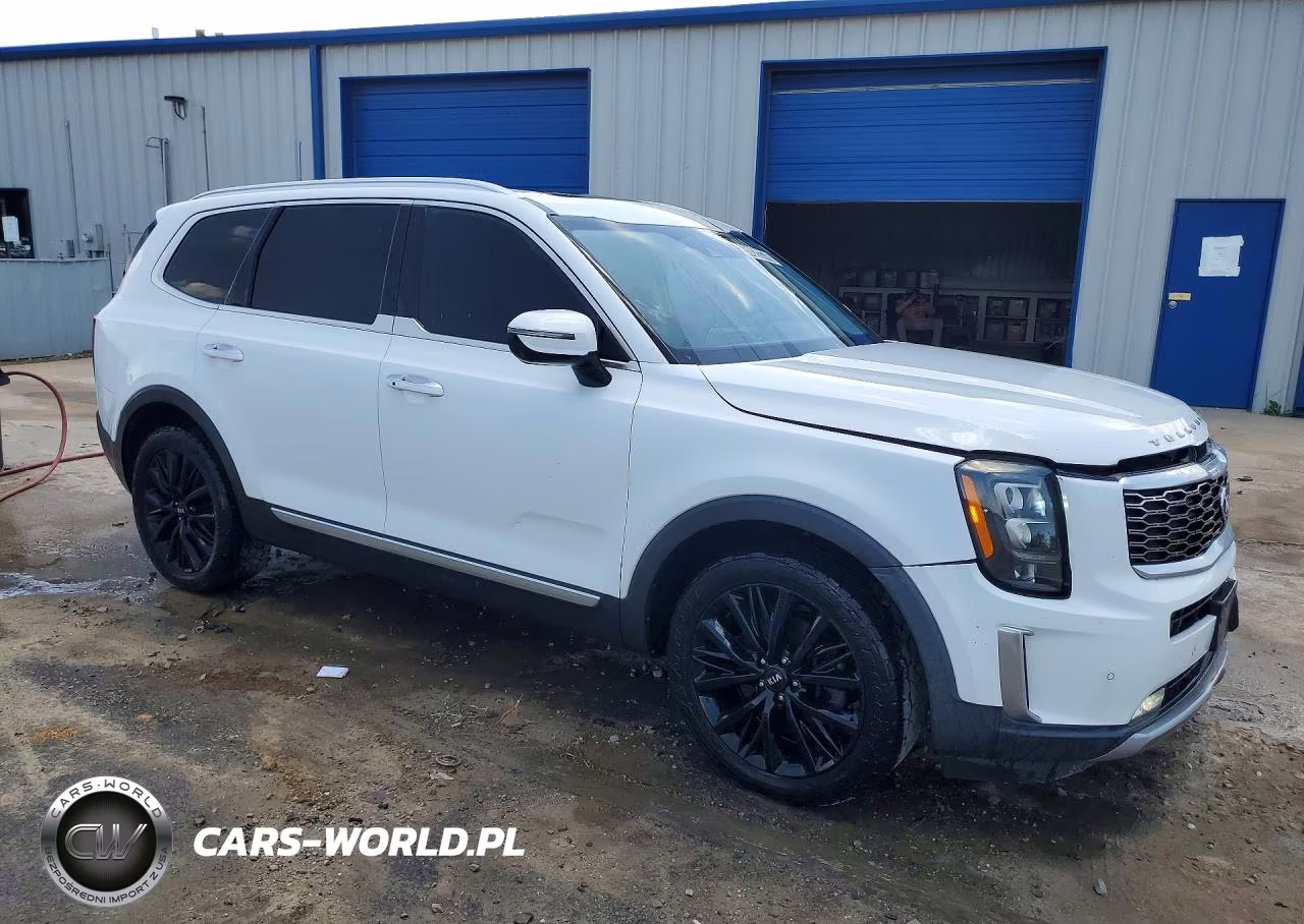 2020 Kia Telluride Sx VIN:5XYP5DHC8LG085495 - 4