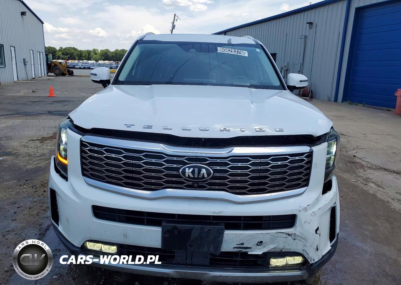 2020 Kia Telluride Sx VIN:5XYP5DHC8LG085495 - 5