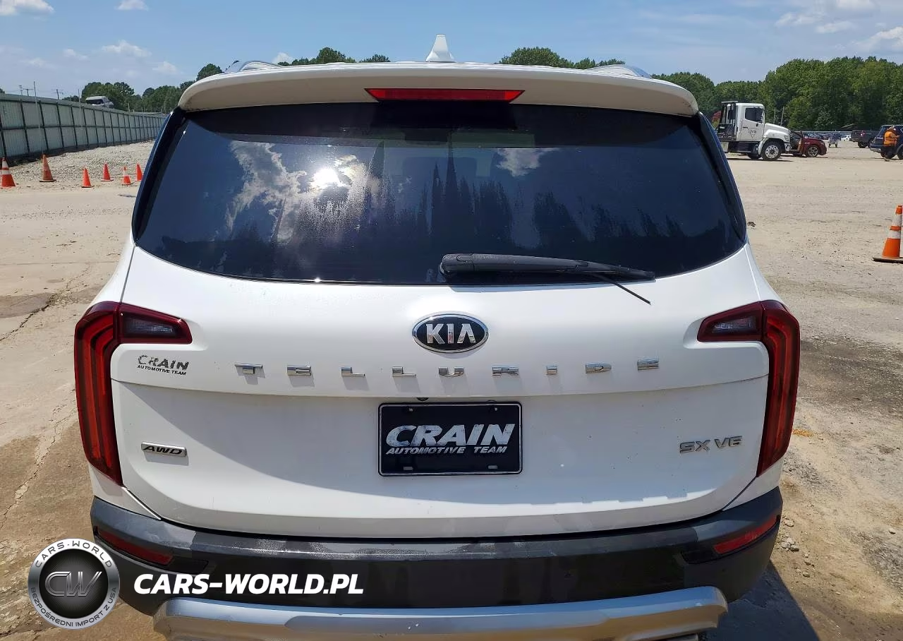 2020 Kia Telluride Sx VIN:5XYP5DHC8LG085495 - 6