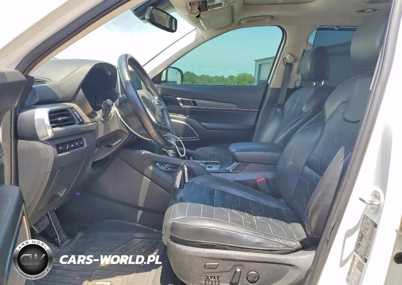 2020 Kia Telluride Sx VIN:5XYP5DHC8LG085495 - 7