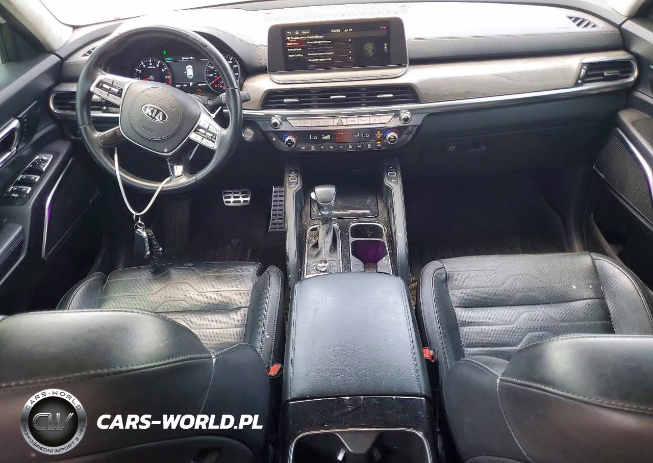2020 Kia Telluride Sx VIN:5XYP5DHC8LG085495 - 8