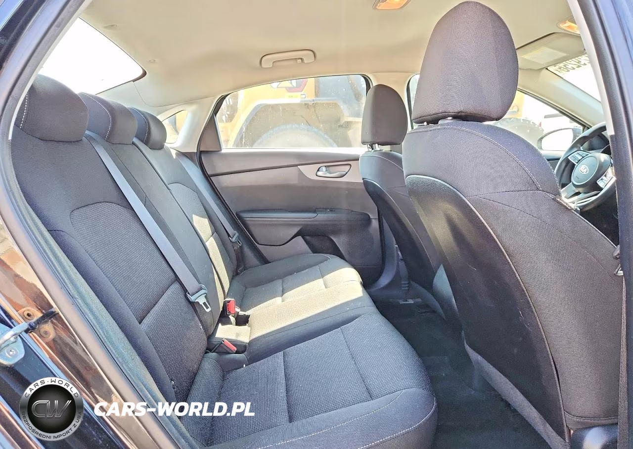 2019 Kia Forte Lxs VIN:3KPF24AD5KE061349 - 10
