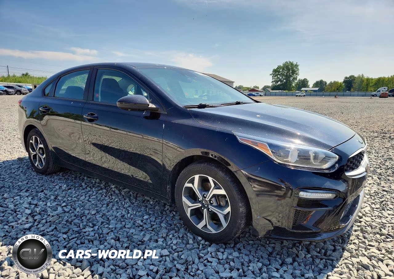 2019 Kia Forte Lxs VIN:3KPF24AD5KE061349 - 4