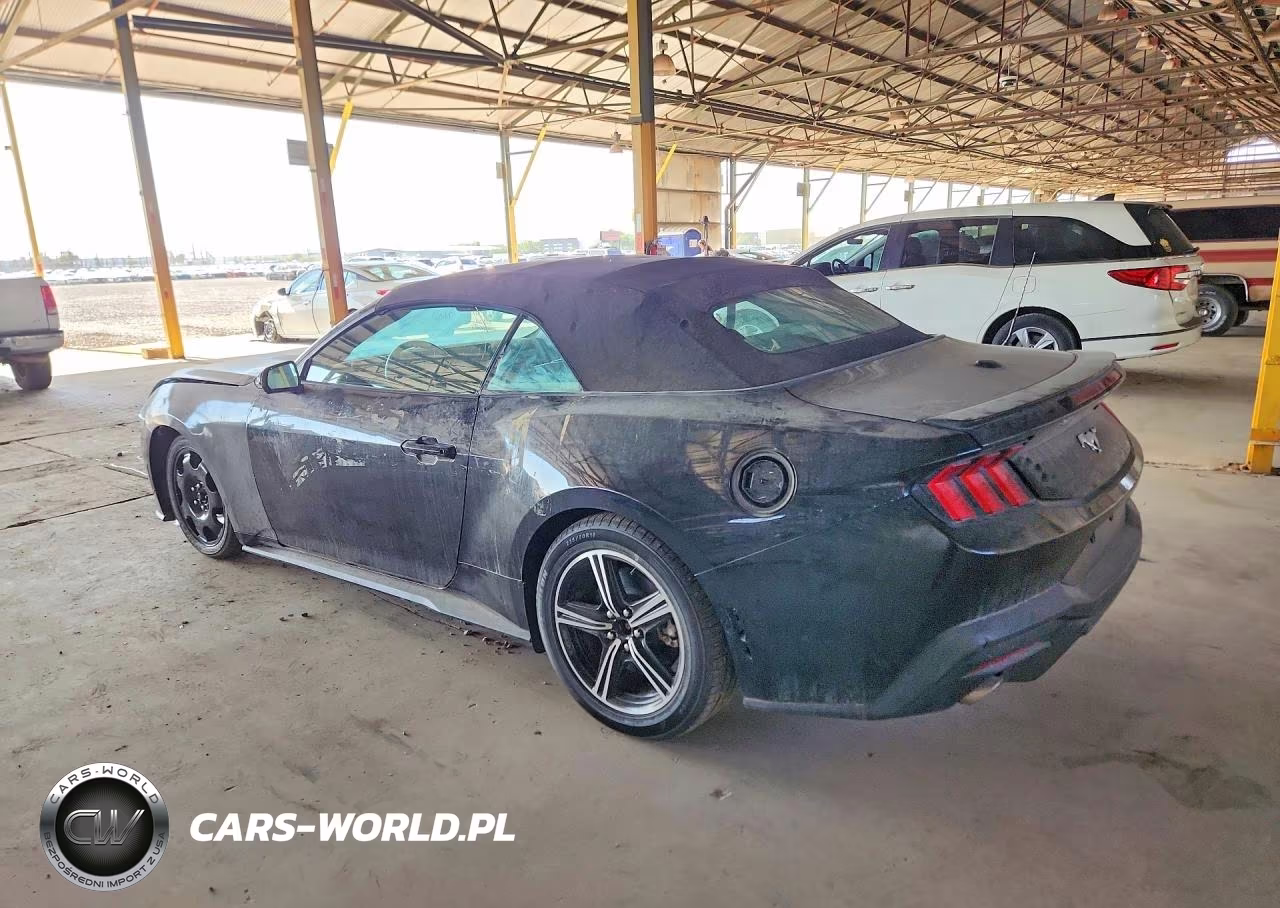 2024 Ford Mustang VIN:1FAGP8UH6R5120075 - 2
