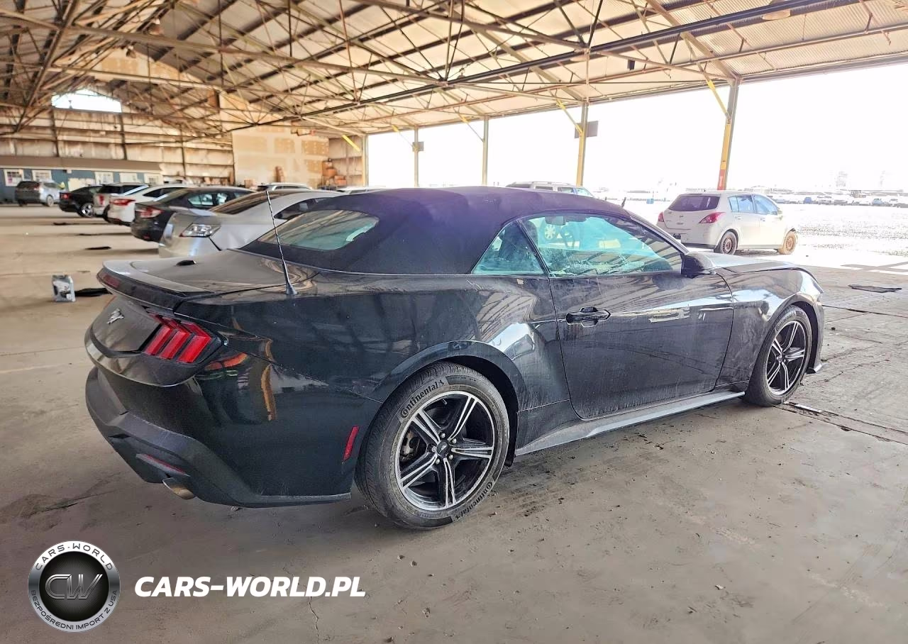 2024 Ford Mustang VIN:1FAGP8UH6R5120075 - 3