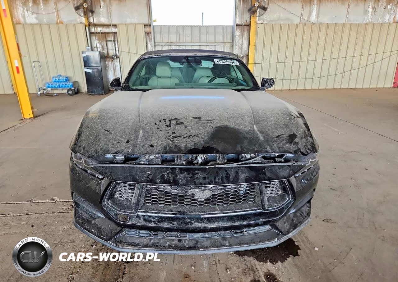 2024 Ford Mustang VIN:1FAGP8UH6R5120075 - 5