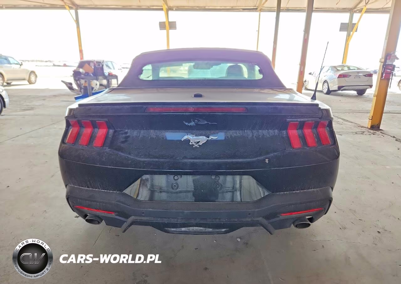2024 Ford Mustang VIN:1FAGP8UH6R5120075 - 6