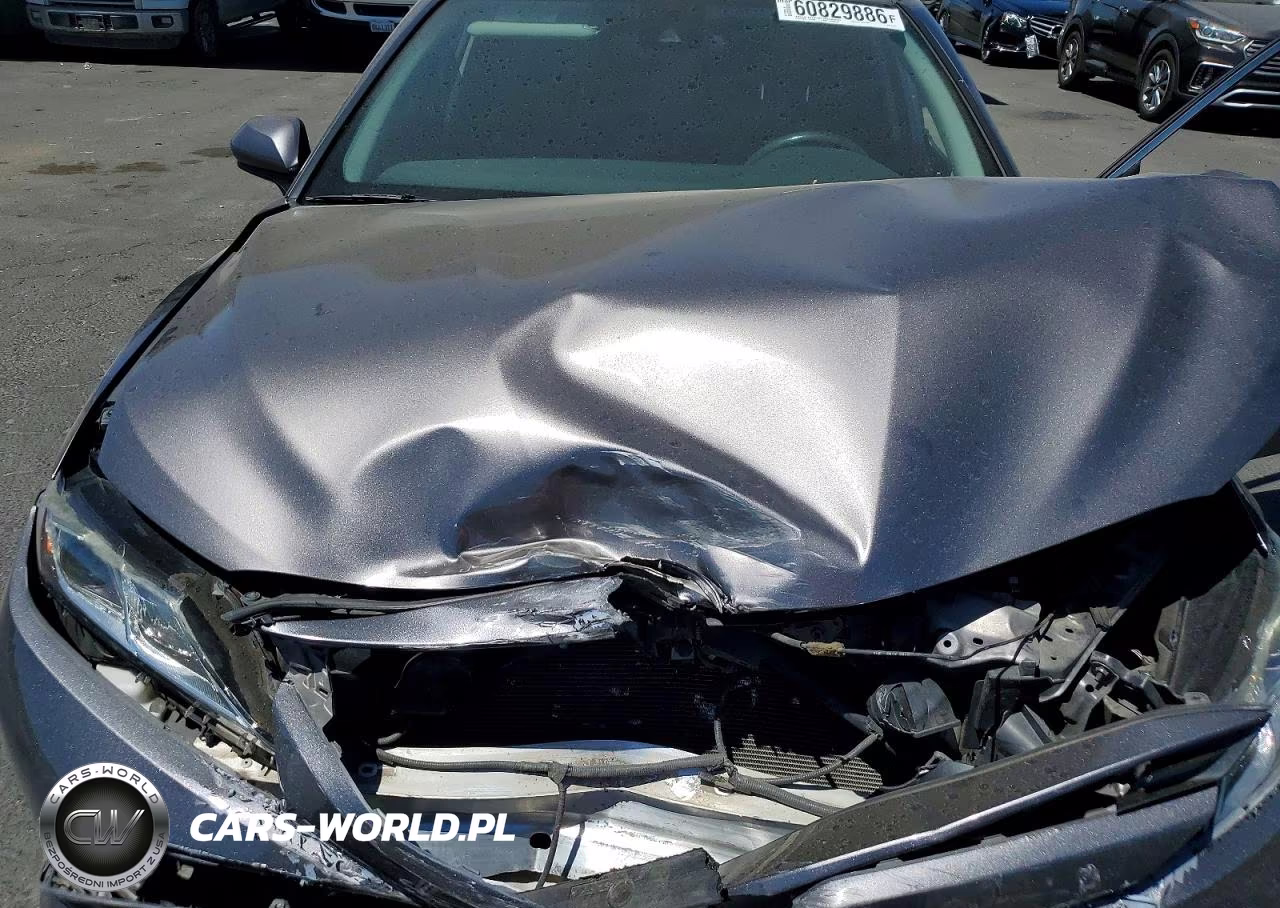 2019 Toyota Camry Le VIN:4T1B11HK4KU779251 - 11