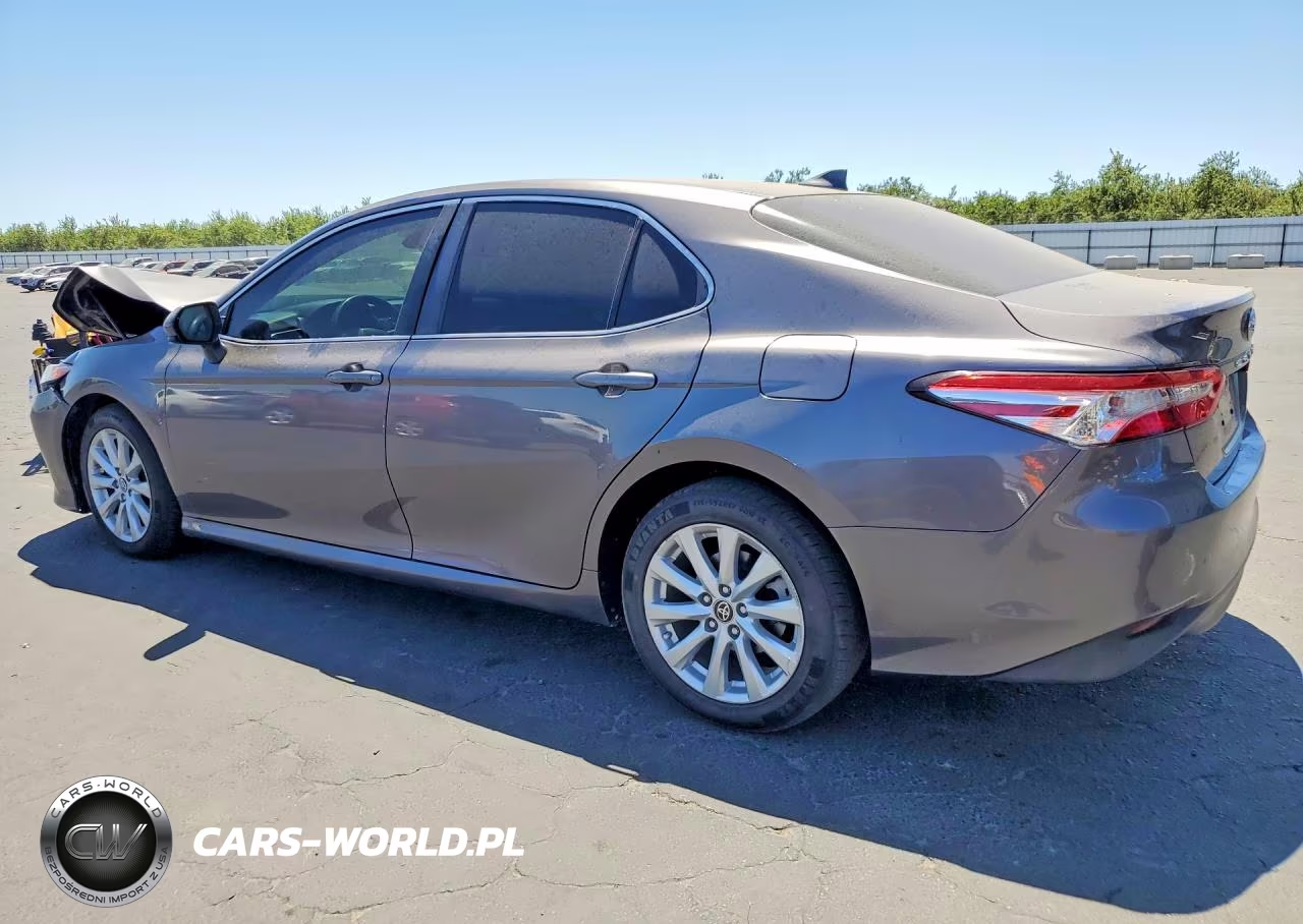 2019 Toyota Camry Le VIN:4T1B11HK4KU779251 - 2