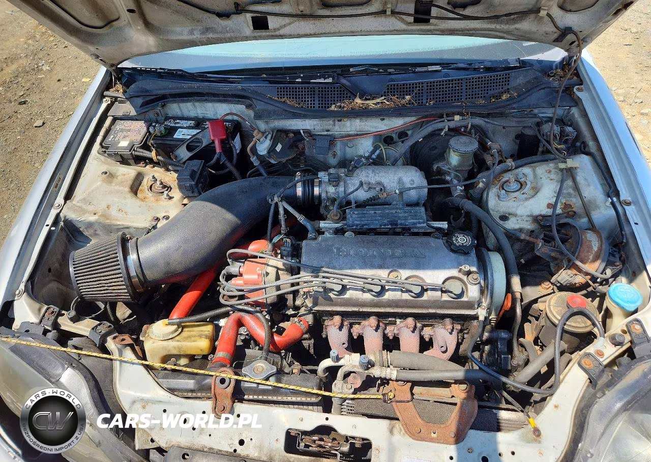 1998 Honda Civic Ex VIN:2HGEJ8648WH603294 - 11