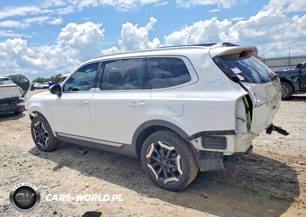 2023 Kia Telluride S VIN:5XYP64GC7PG377191 - 2