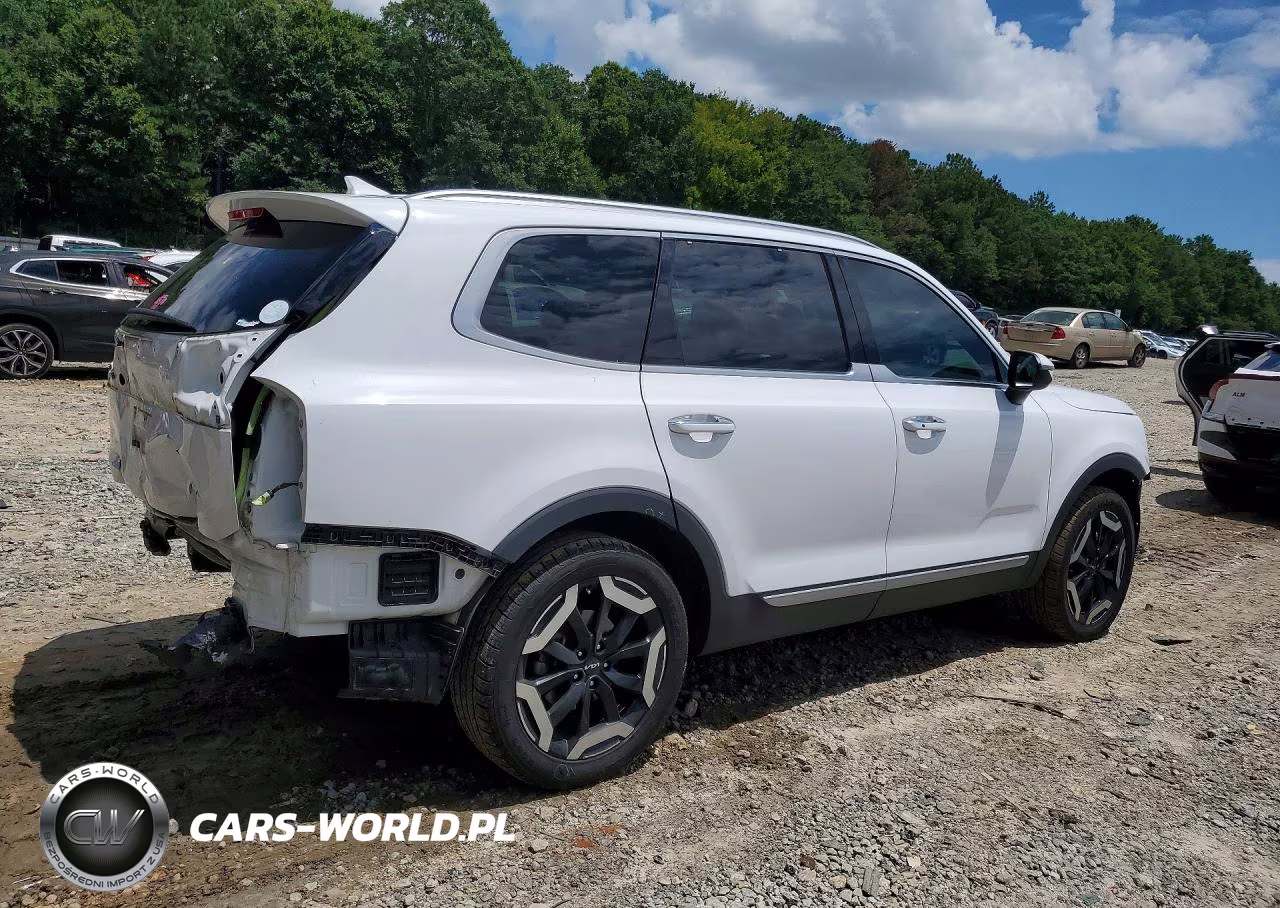 2023 Kia Telluride S VIN:5XYP64GC7PG377191 - 3