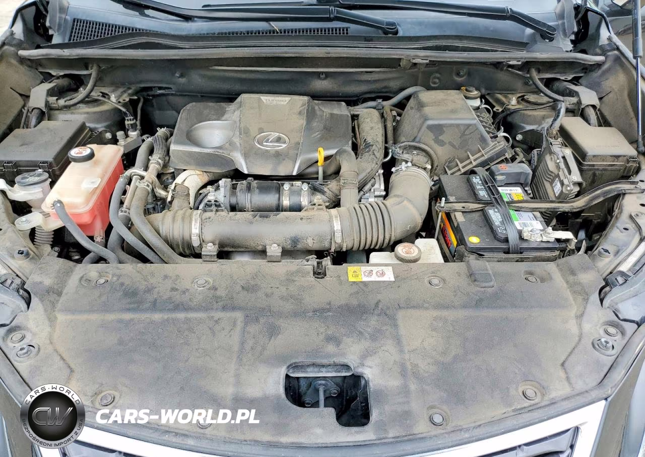 2018 Lexus Nx 300 Base VIN:JTJYARBZ6J2097627 - 12