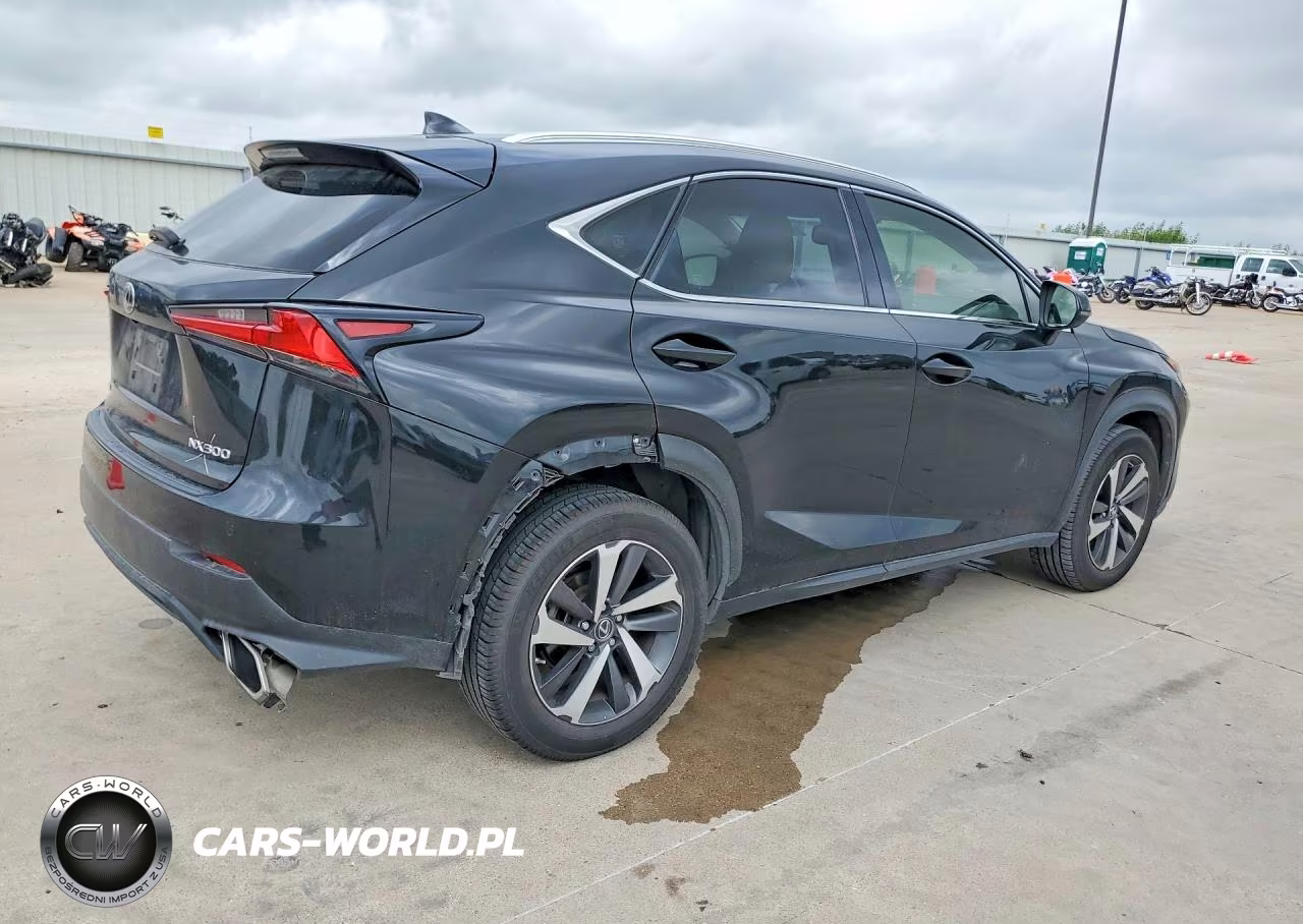 2018 Lexus Nx 300 Base VIN:JTJYARBZ6J2097627 - 3
