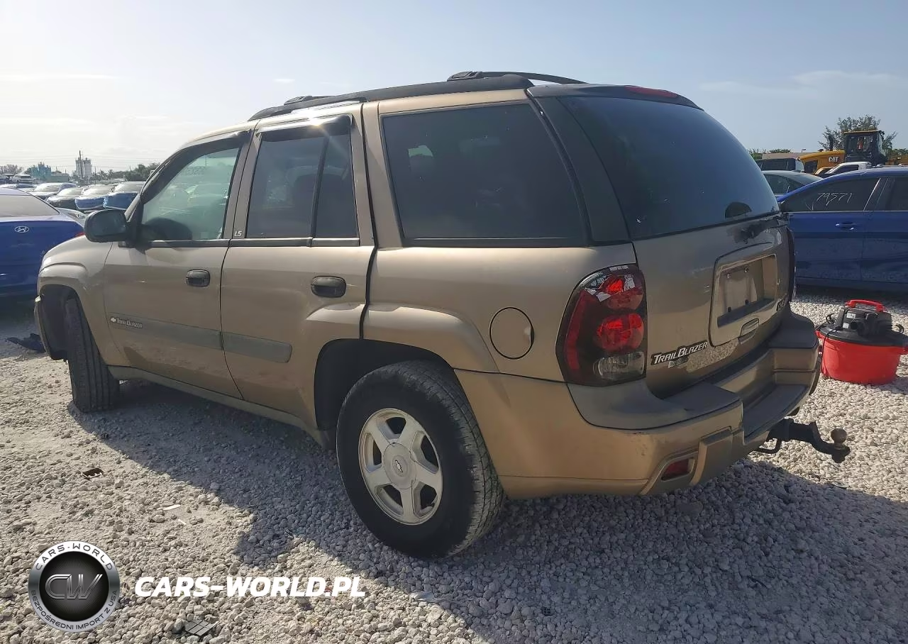 2003 Chevrolet Trailblazer VIN:1GNDS13S532225142 - 2