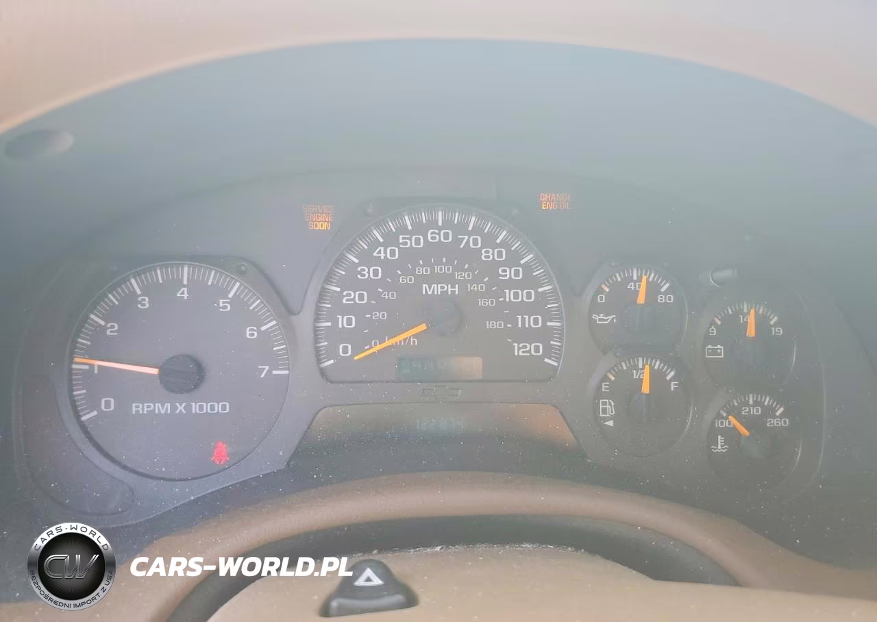 2003 Chevrolet Trailblazer VIN:1GNDS13S532225142 - 9