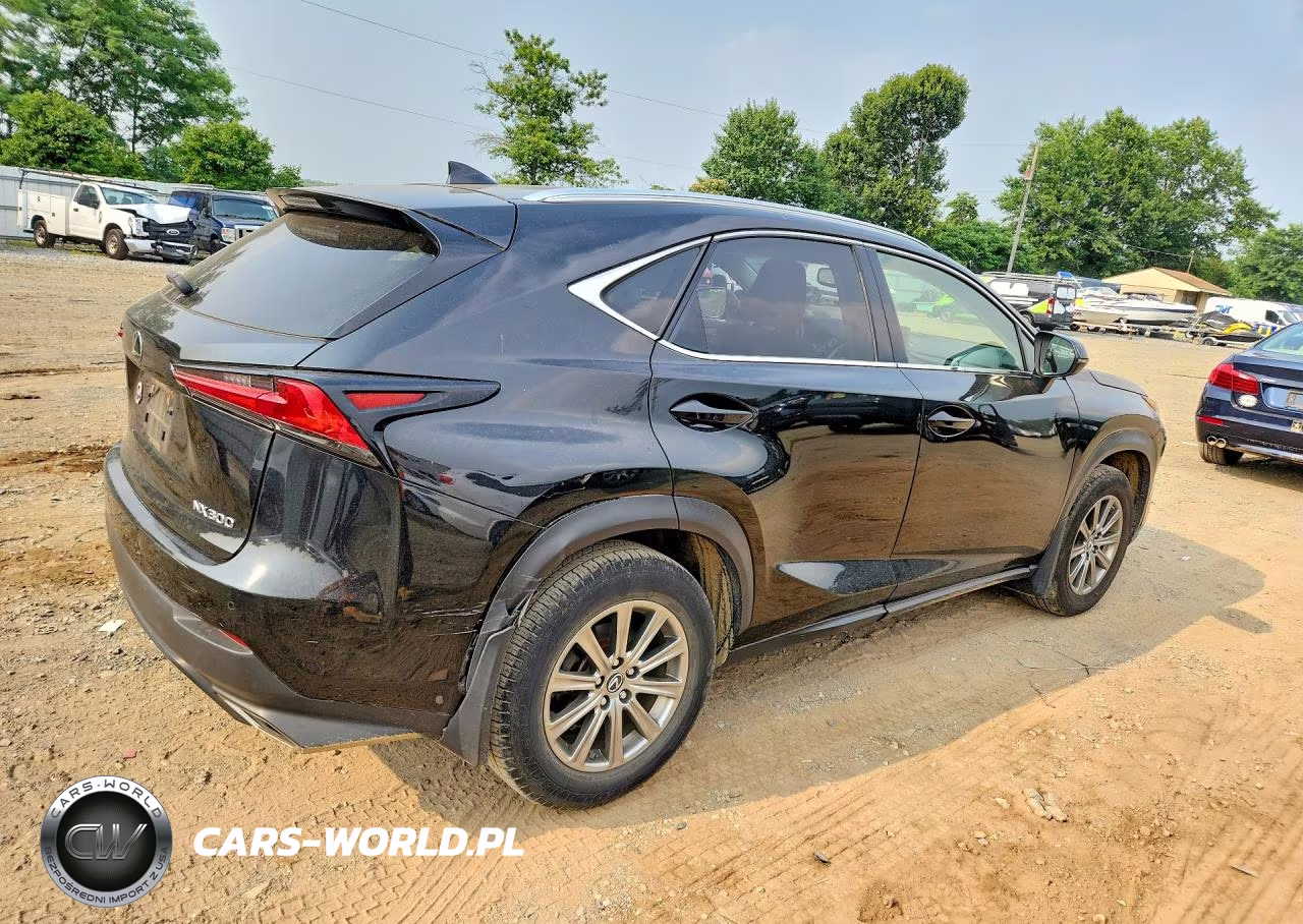 2019 Lexus Nx 300 Base VIN:JTJBARBZ2K2197554 - 3