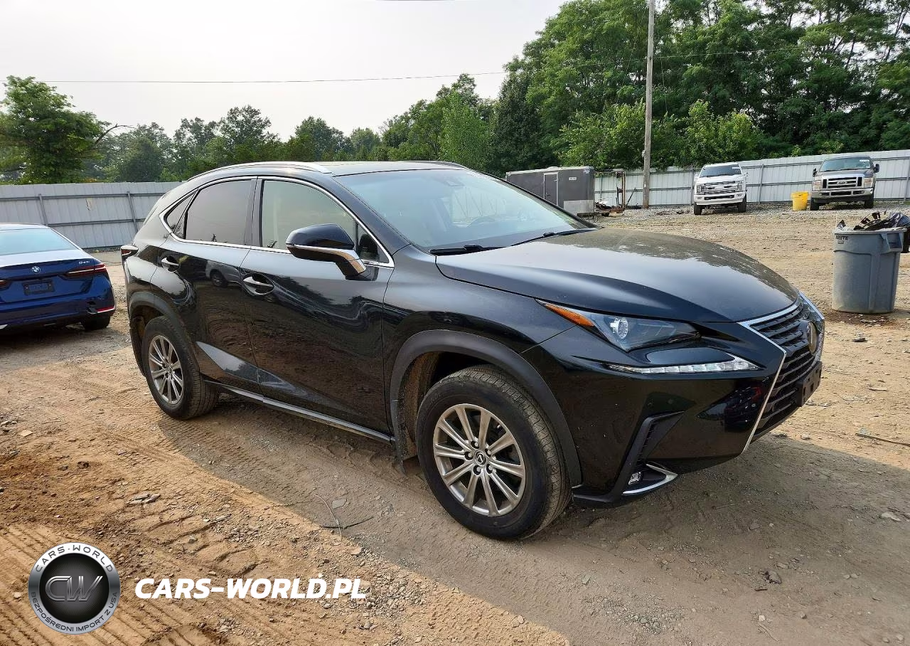 2019 Lexus Nx 300 Base VIN:JTJBARBZ2K2197554 - 4