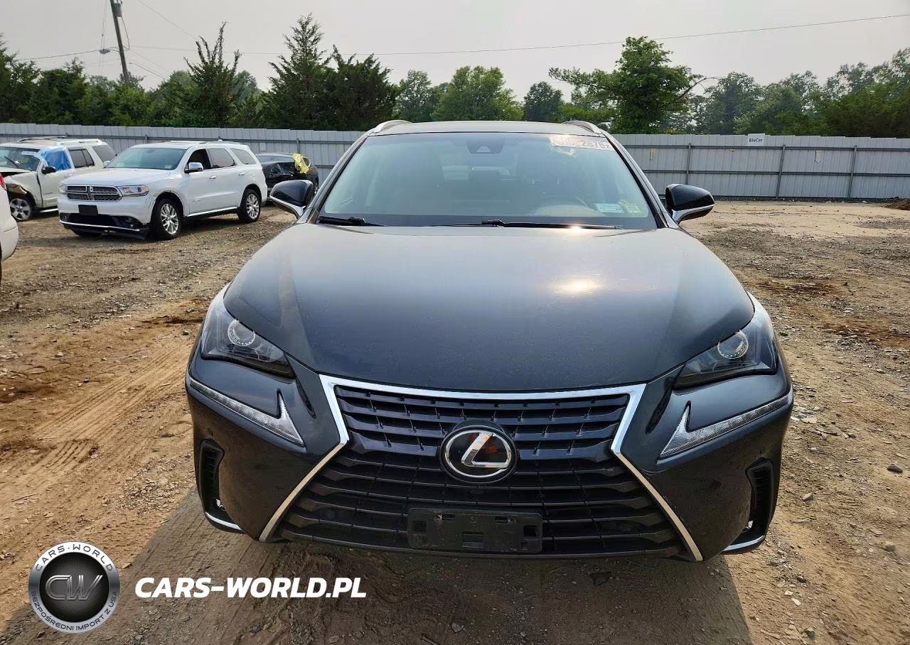 2019 Lexus Nx 300 Base VIN:JTJBARBZ2K2197554 - 5
