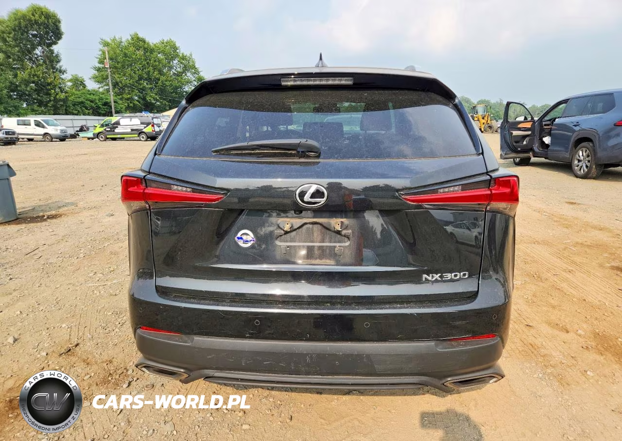2019 Lexus Nx 300 Base VIN:JTJBARBZ2K2197554 - 6