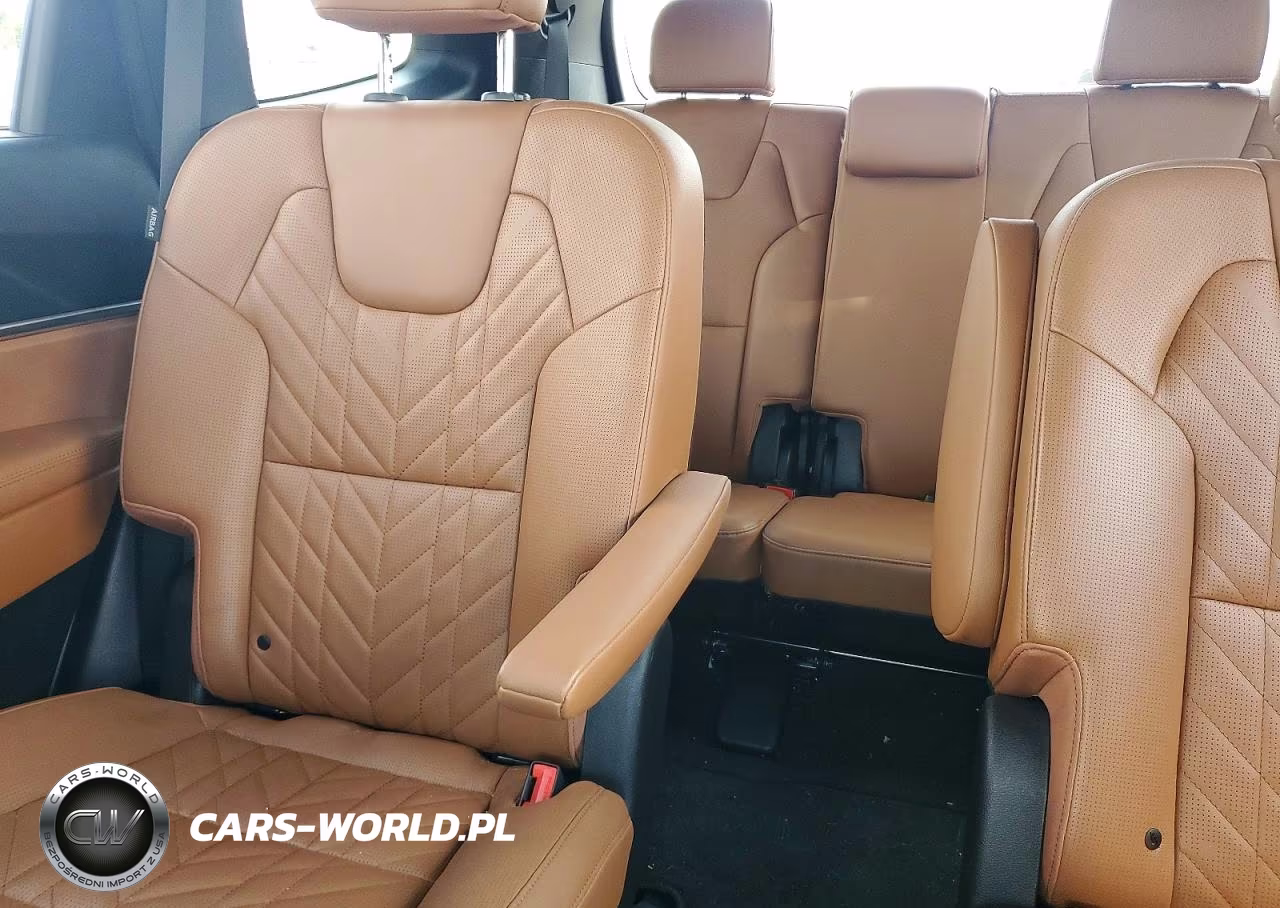 2023 Kia Telluride Ex X-Line VIN:5XYP3DGC9PG368792 - 10