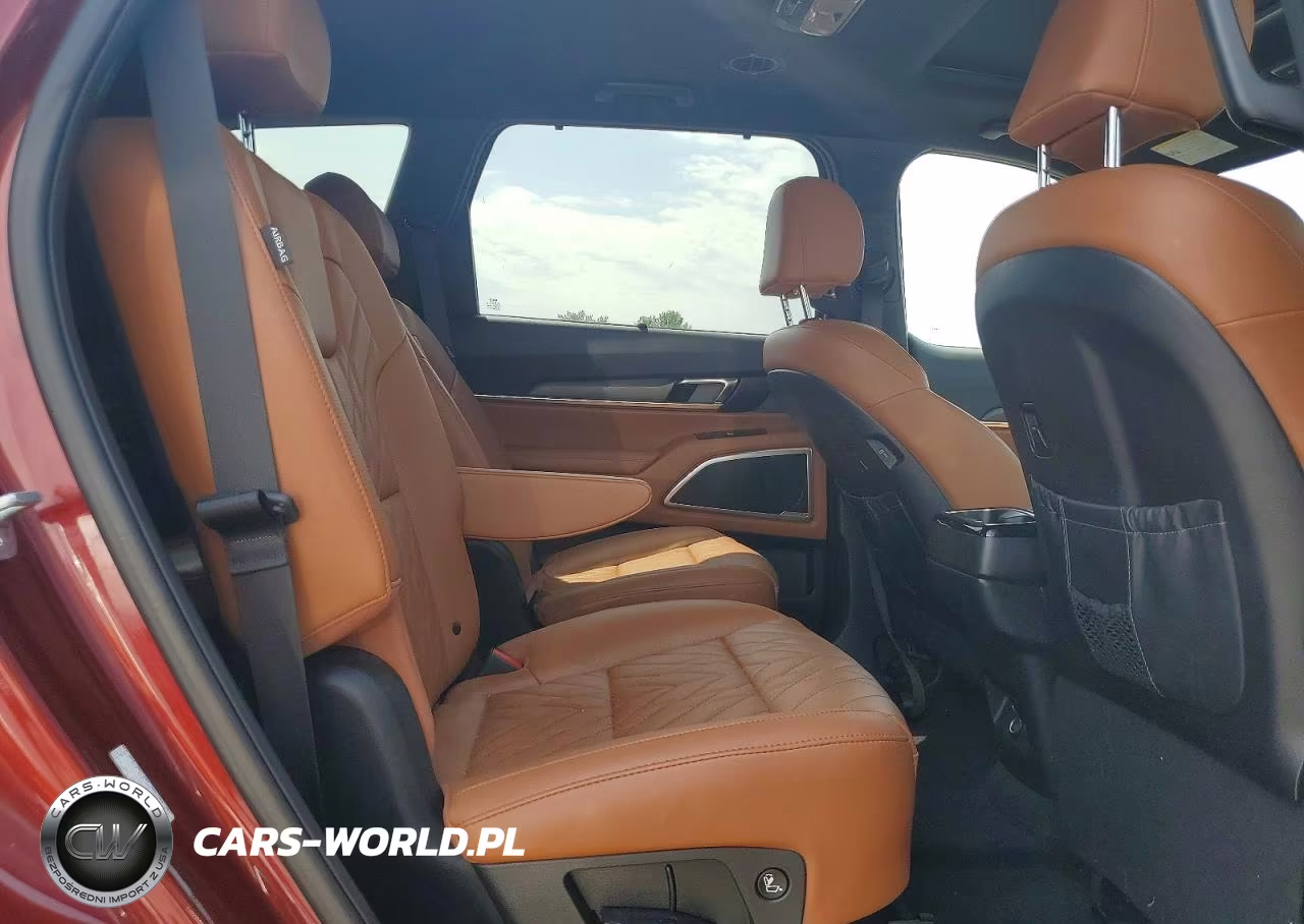 2023 Kia Telluride Ex X-Line VIN:5XYP3DGC9PG368792 - 11