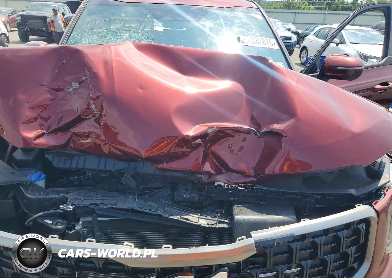 2023 Kia Telluride Ex X-Line VIN:5XYP3DGC9PG368792 - 12