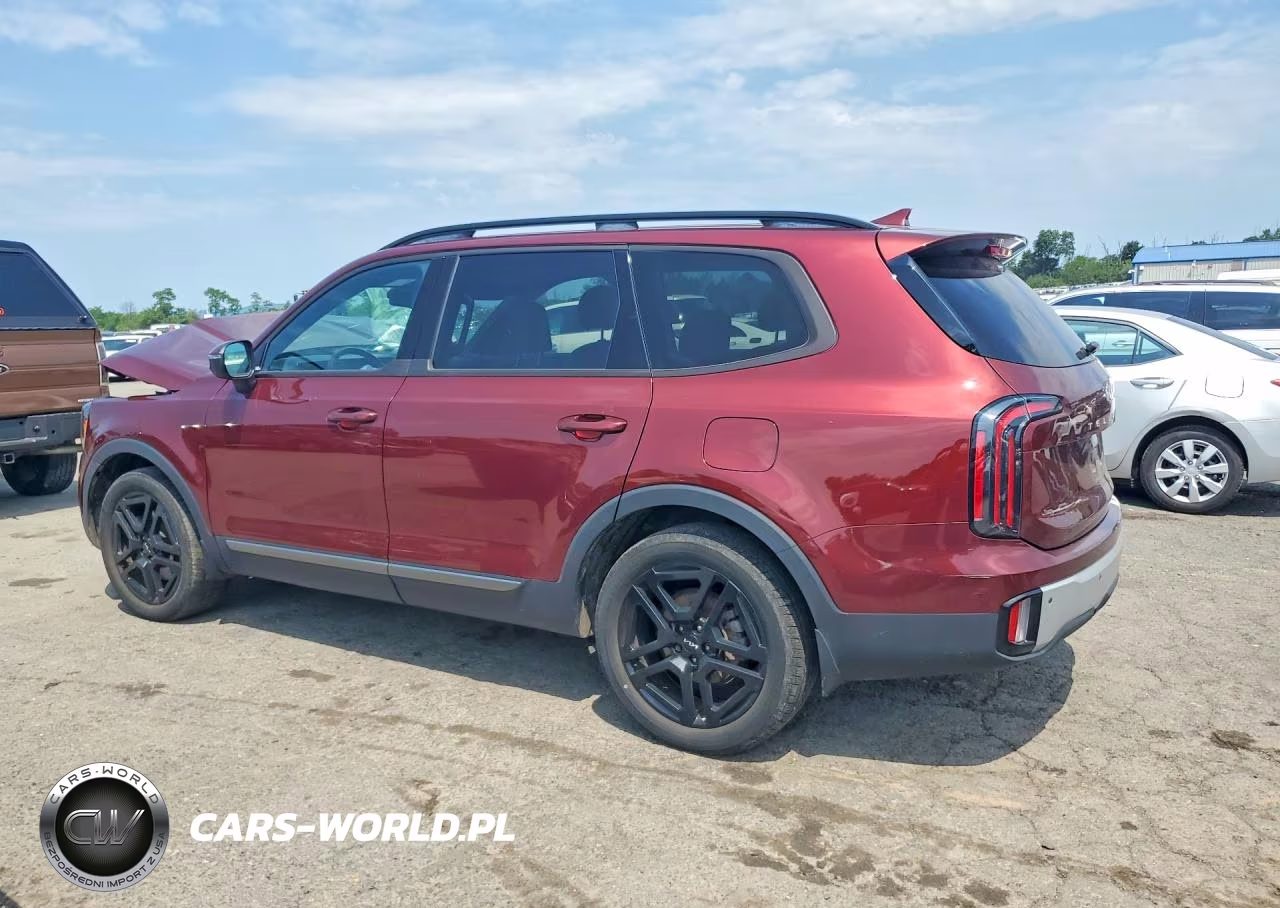 2023 Kia Telluride Ex X-Line VIN:5XYP3DGC9PG368792 - 2