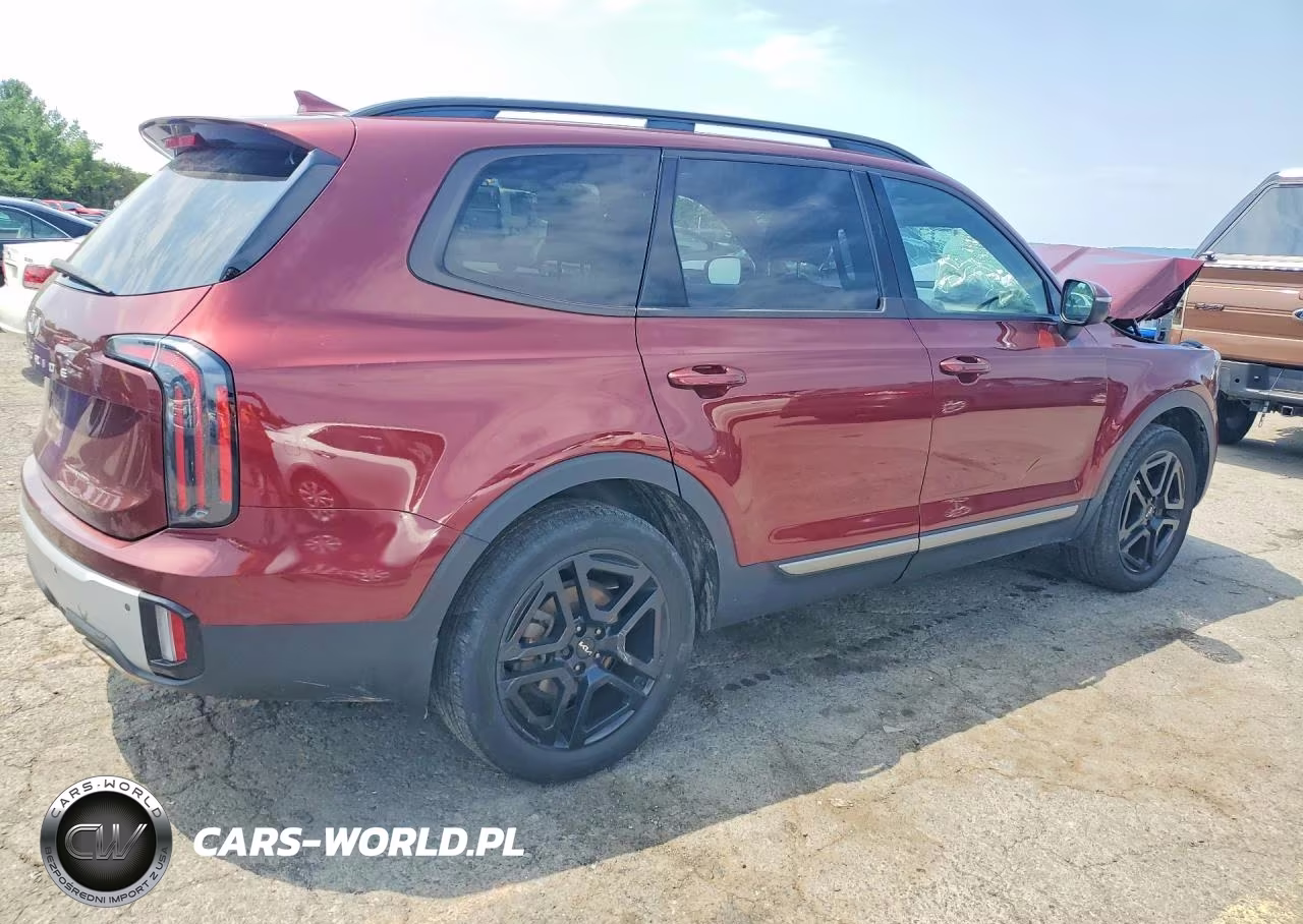 2023 Kia Telluride Ex X-Line VIN:5XYP3DGC9PG368792 - 3