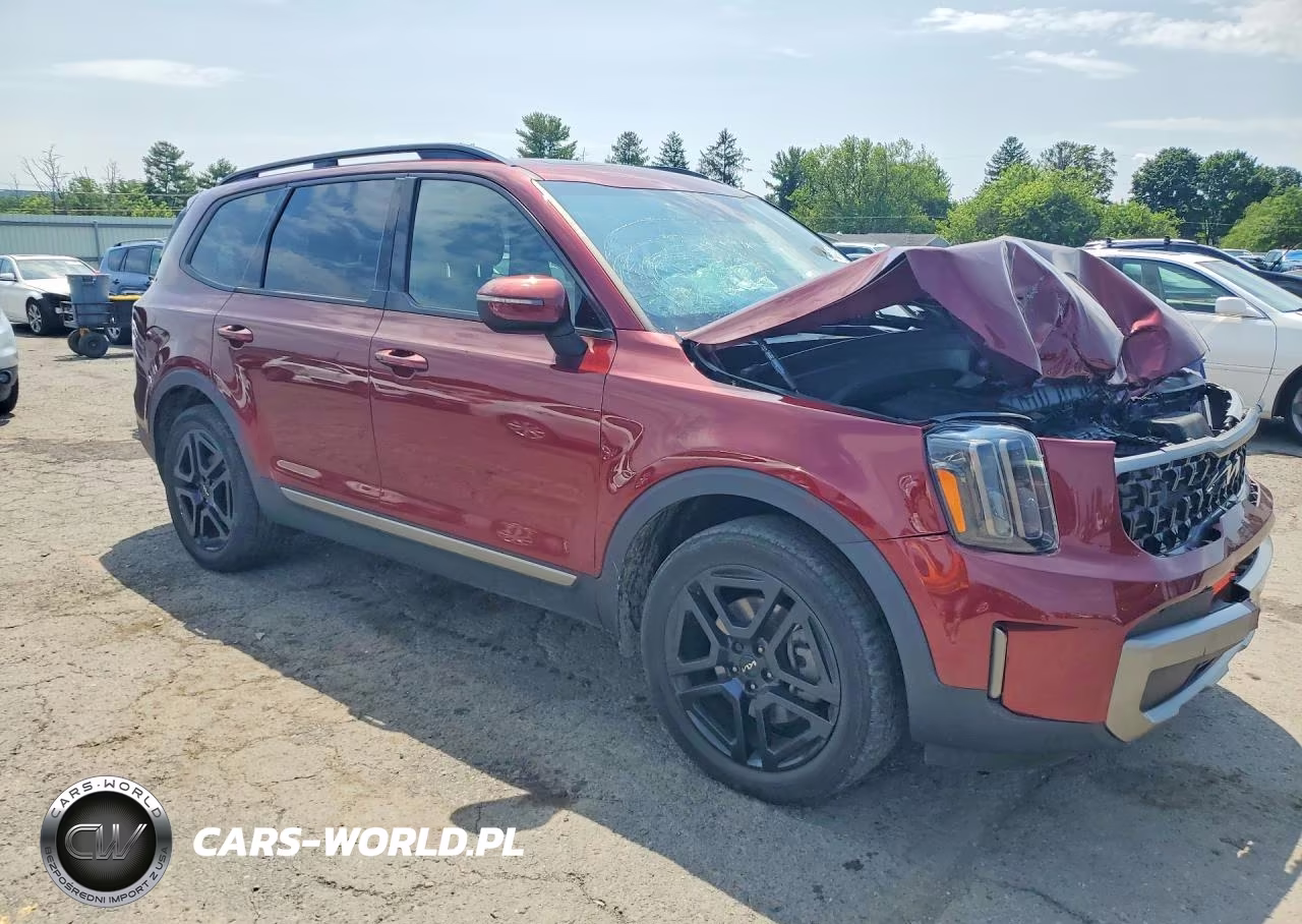 2023 Kia Telluride Ex X-Line VIN:5XYP3DGC9PG368792 - 4