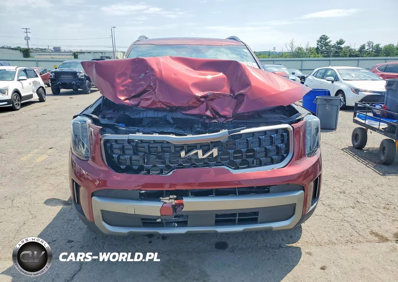 2023 Kia Telluride Ex X-Line VIN:5XYP3DGC9PG368792 - 5
