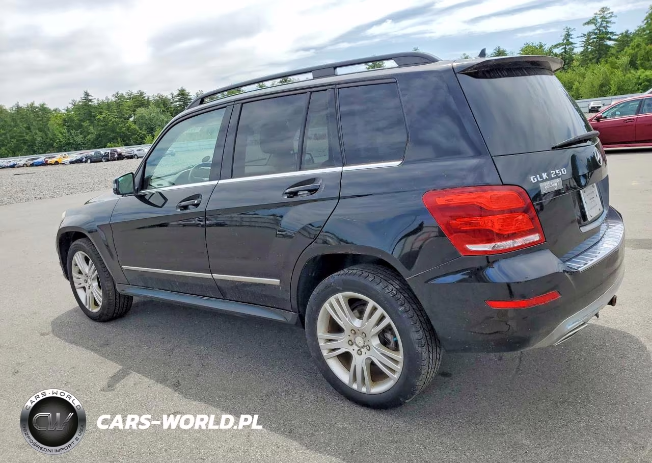 2013 Mercedes-Benz Glk 250 Bluetec VIN:WDCGG0EB6DG134491 - 2