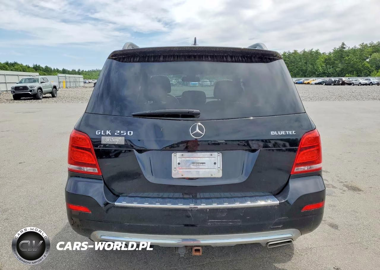 2013 Mercedes-Benz Glk 250 Bluetec VIN:WDCGG0EB6DG134491 - 6