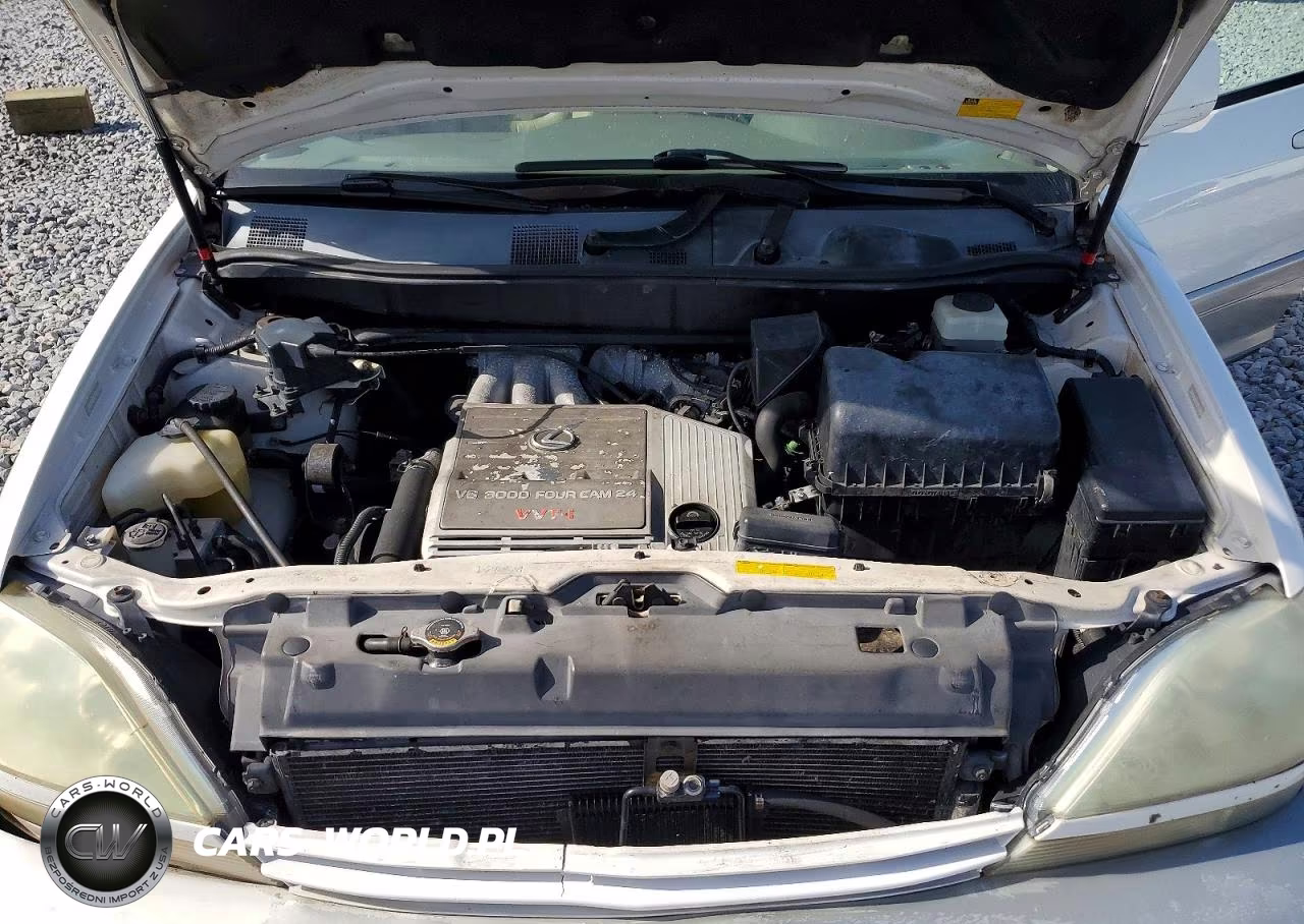 2001 Lexus Rx 300 VIN:JTJGF10U510110496 - 11