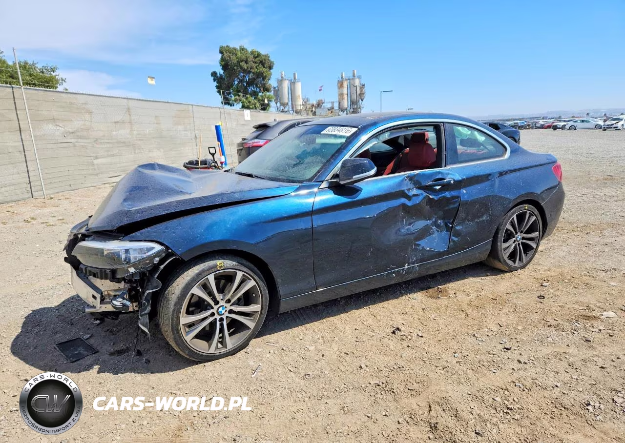 2015 BMW 228 I Sulev
