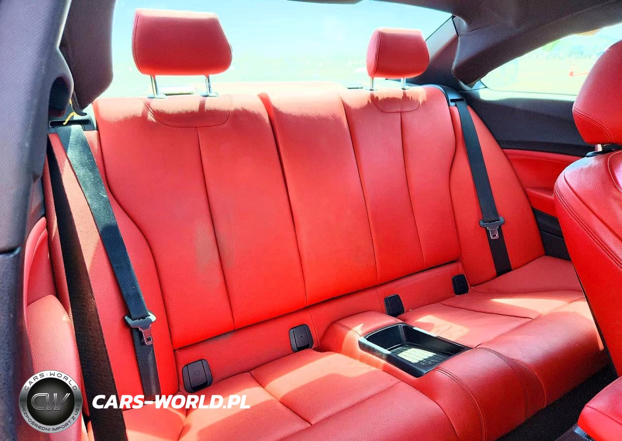 2015 BMW 228 I Sulev VIN:WBA1F9C5XFVW98768 - 10