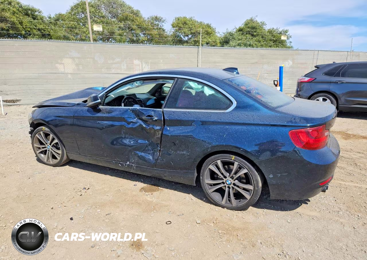 2015 BMW 228 I Sulev VIN:WBA1F9C5XFVW98768 - 2