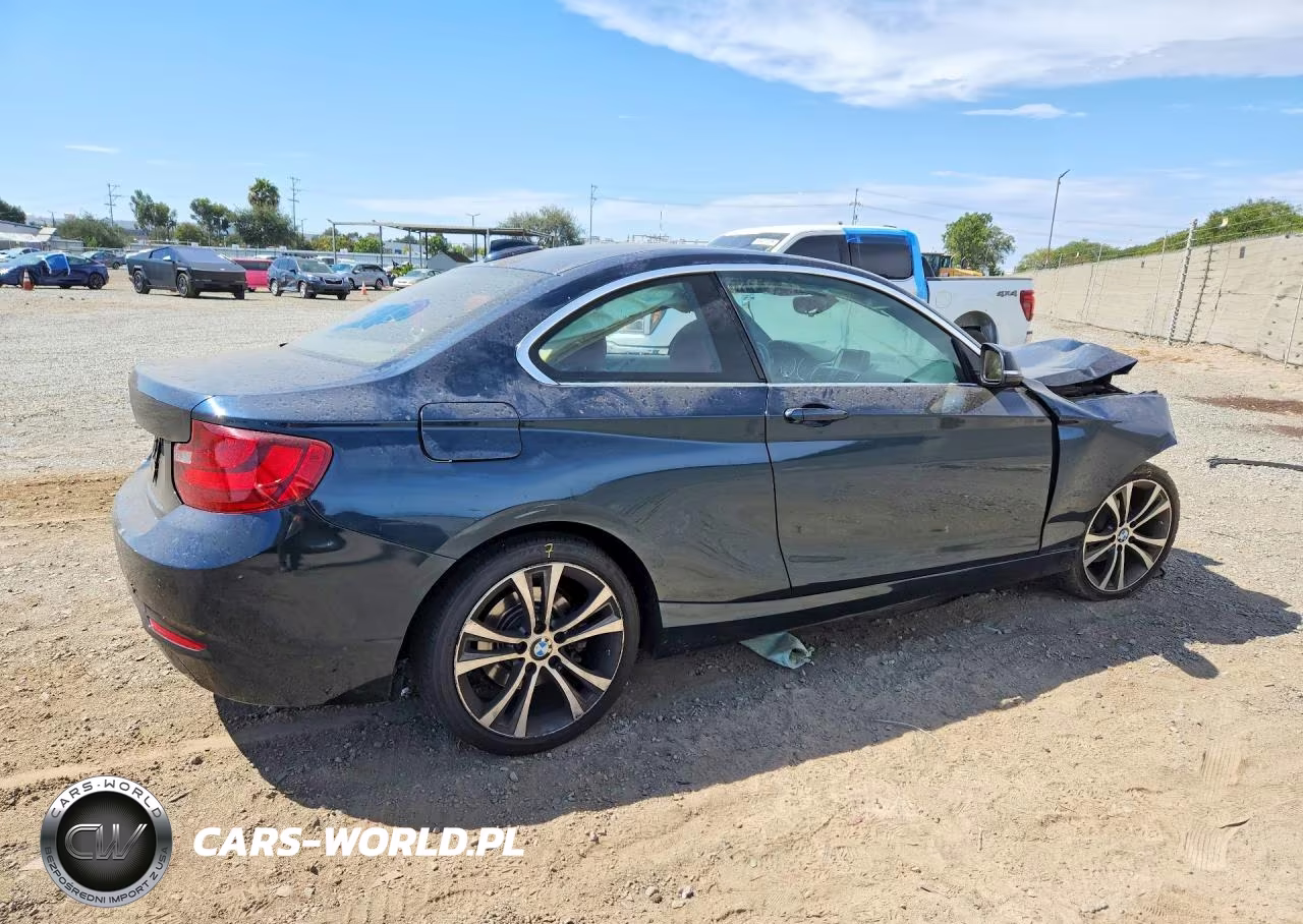 2015 BMW 228 I Sulev VIN:WBA1F9C5XFVW98768 - 3