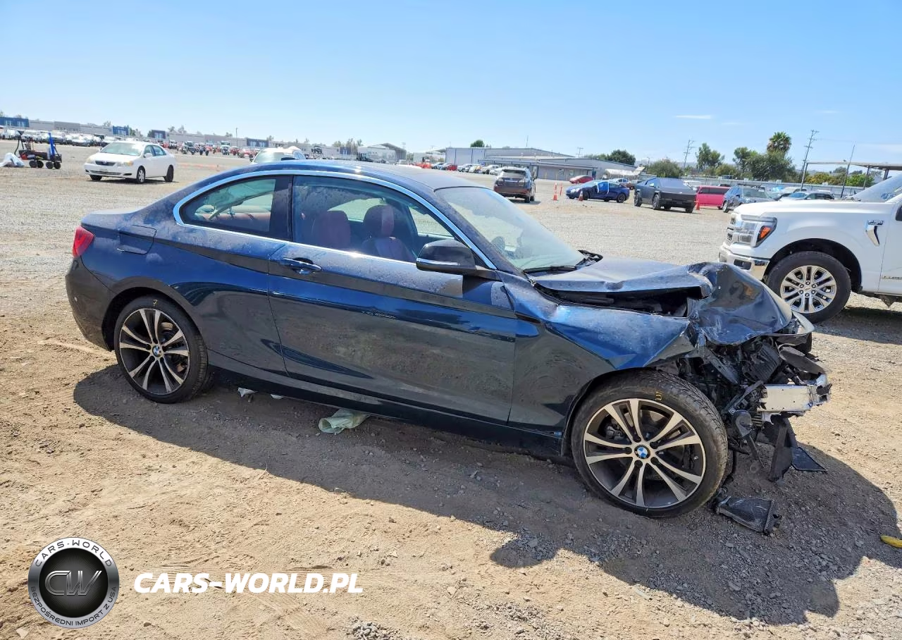 2015 BMW 228 I Sulev VIN:WBA1F9C5XFVW98768 - 4
