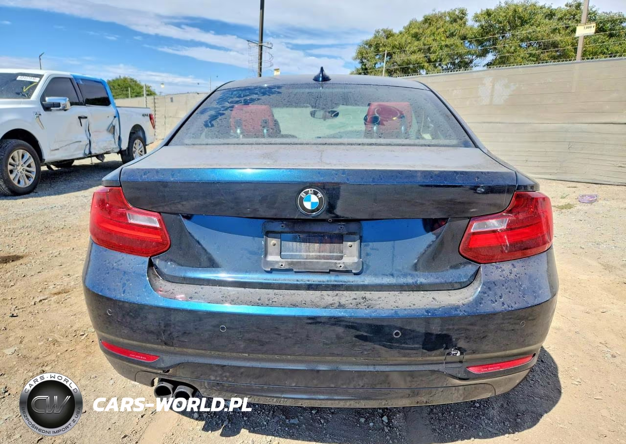 2015 BMW 228 I Sulev VIN:WBA1F9C5XFVW98768 - 6